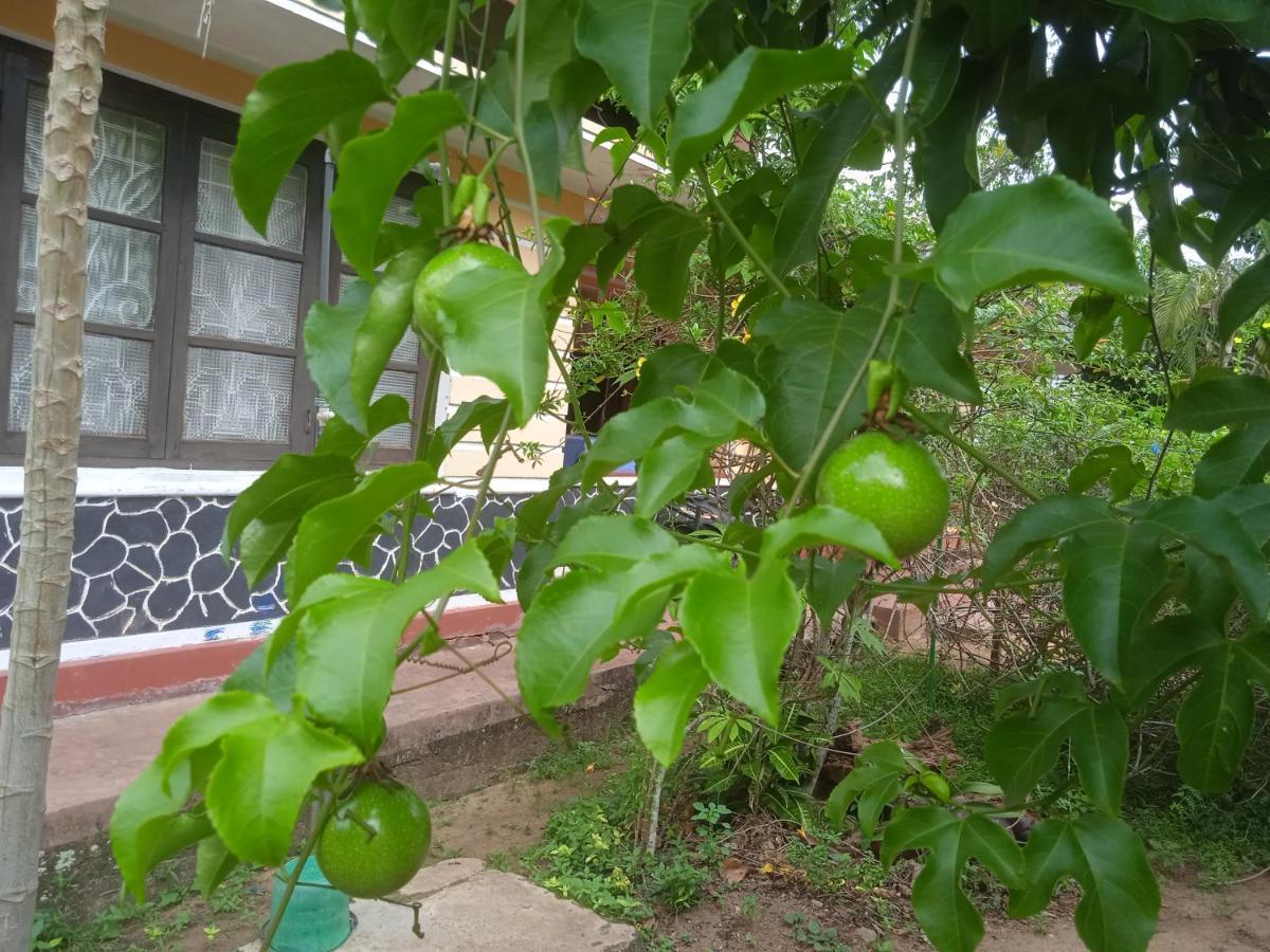 Sanaya Homestay Tangalle Dış mekan fotoğraf